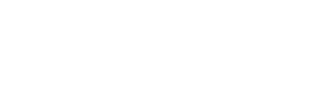 LEAD AR-Dark-Version (1)